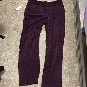 Talbots purple corduroy pants!